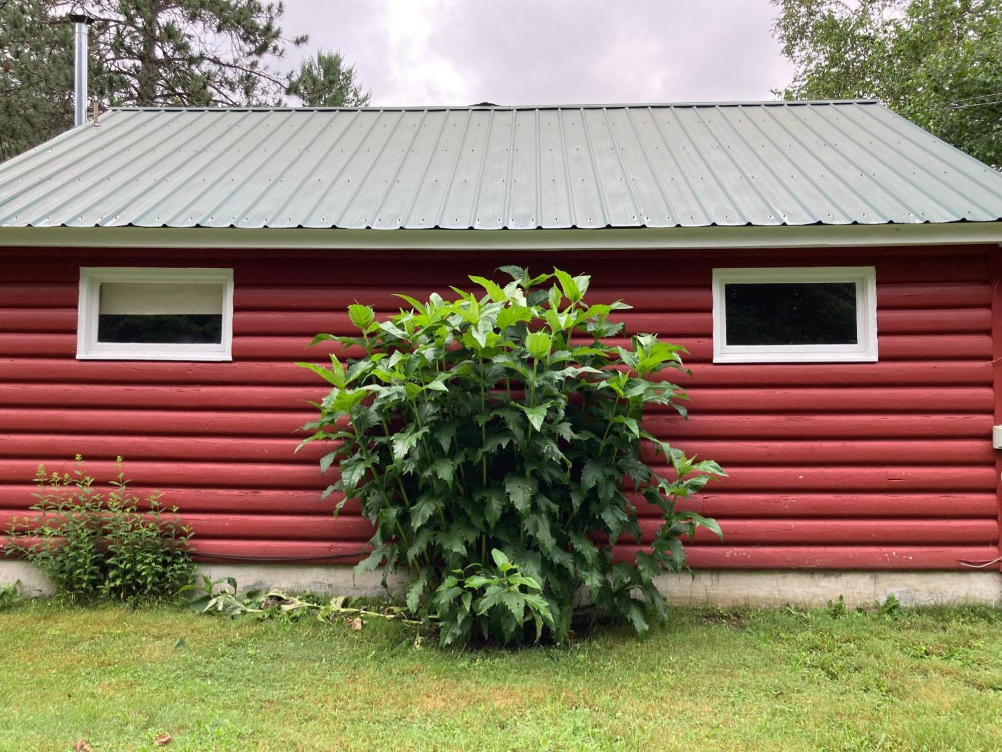 The Lorca Adirondacks Motel Indian Lake Zimmer foto